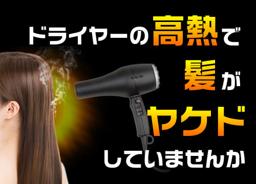 低温トリートメントドライヤー